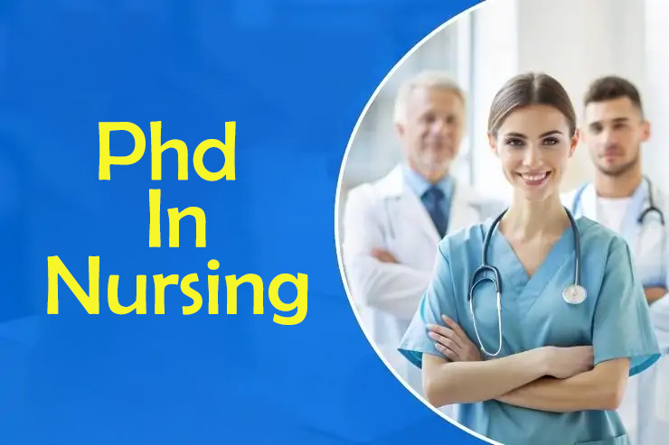 Ph.D. in Nursing